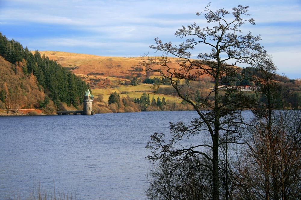 Lake Vyrnwy  from the Western Shore.