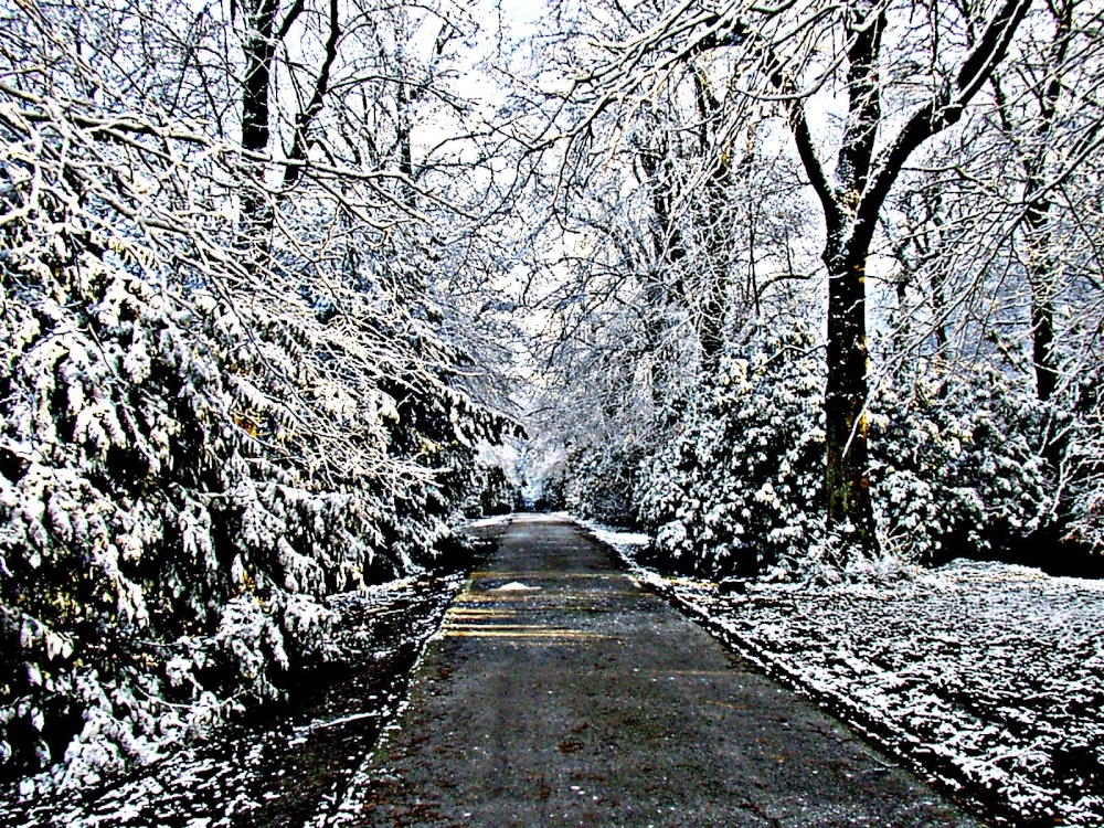 Photograph of Gawthorpe Hall, Padiham, Lancashire
