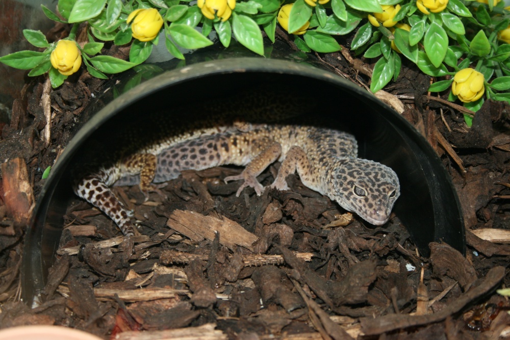 Butterfly World (Thornaby)