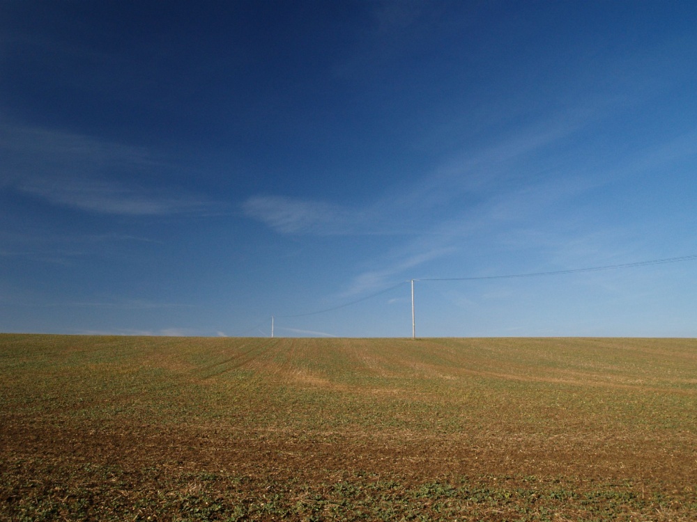 Farmland near Pigeons Lock, Kirtlington, Oxon