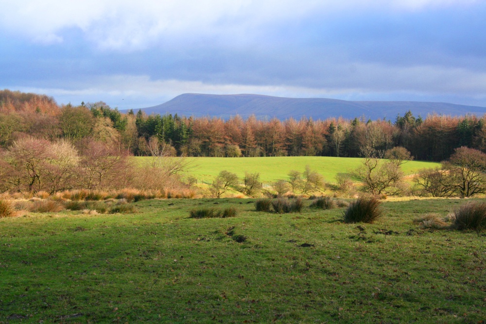 Pendle Hill