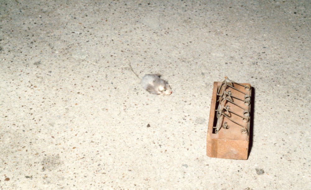 A view of the house interior