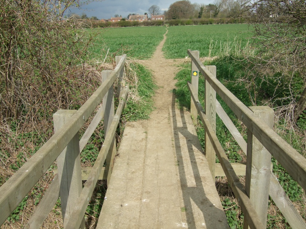 Bridge across the stream