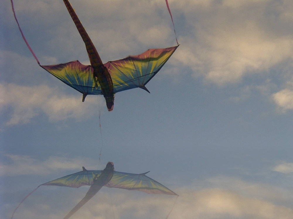 Kite on Cleveleys beach