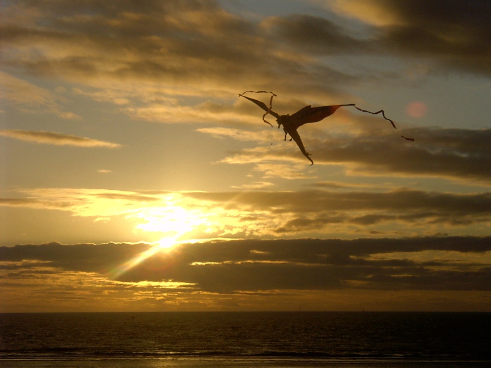Photograph of Sunset kite at Cleveleys