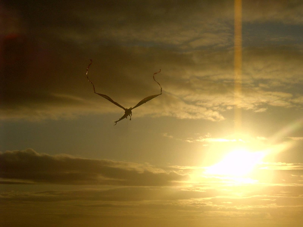 Dragon kite at Cleveleys