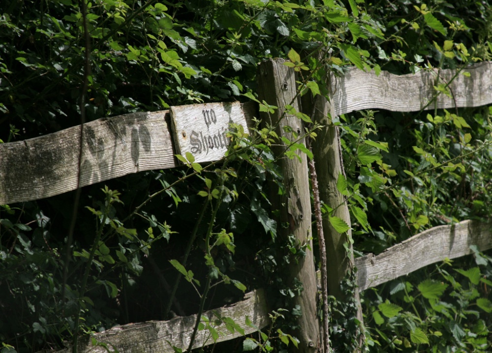 No shooting. South Stoke, Oxfordshire