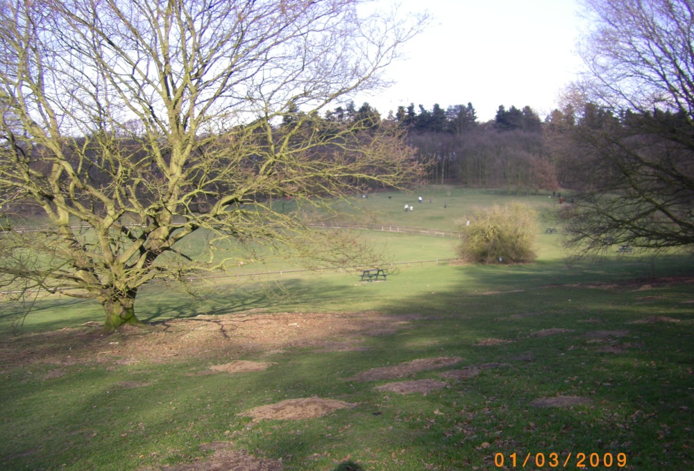 The Park photo by Barbara Whiteman