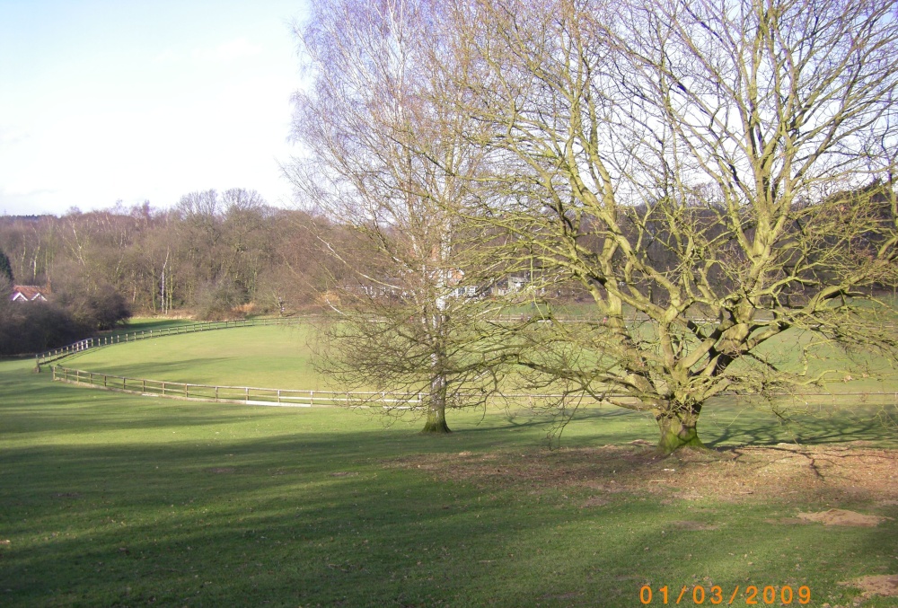 Cricket Green photo by Barbara Whiteman