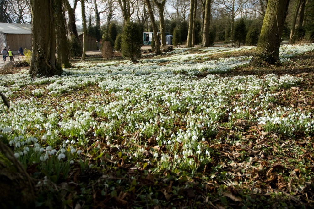 Photograph of Hopton Hall