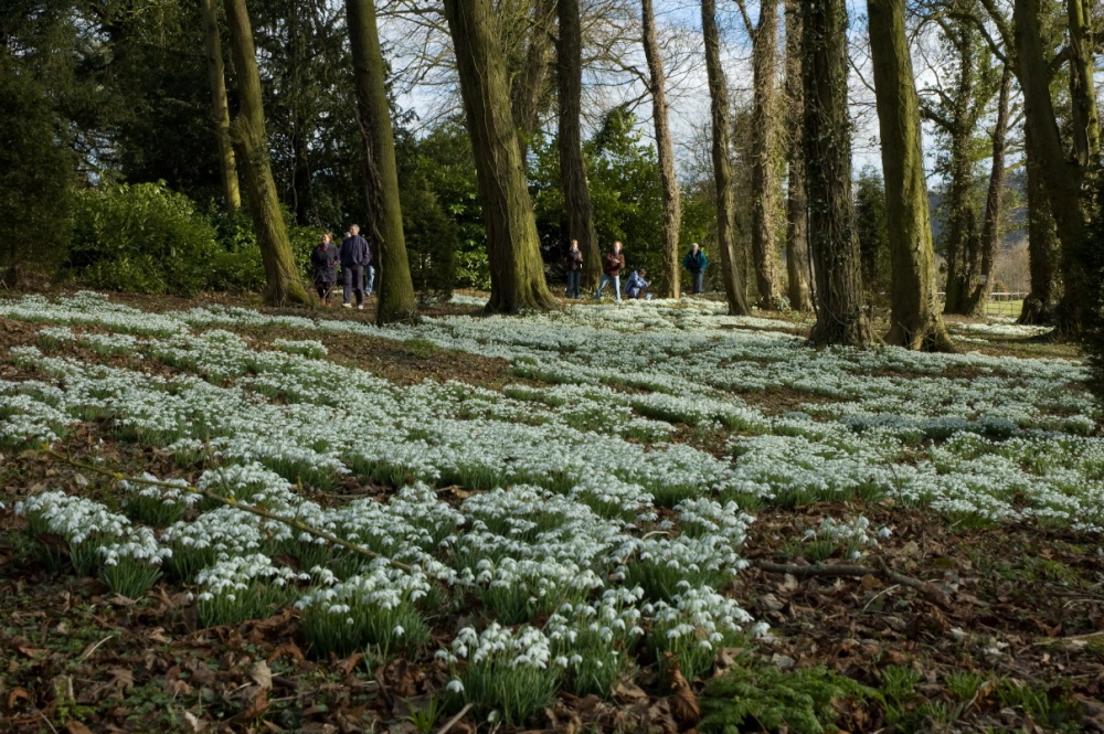 Photograph of Like a blanket of snow