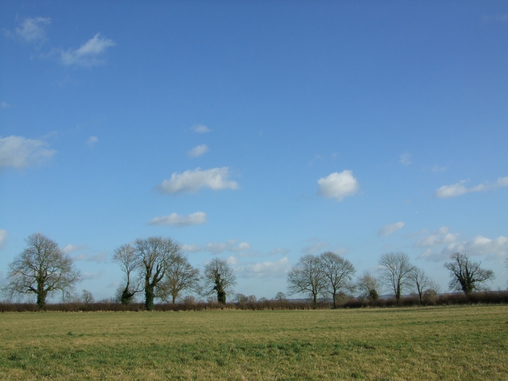 View across the fields, Aubourn