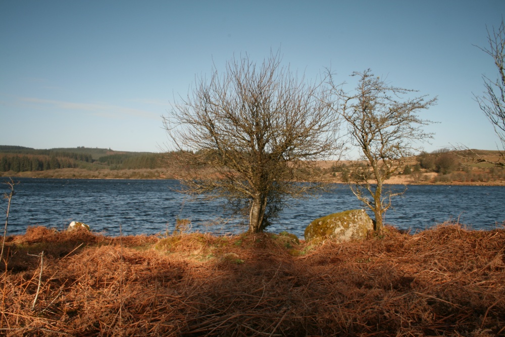 Fernworthy Reservoir