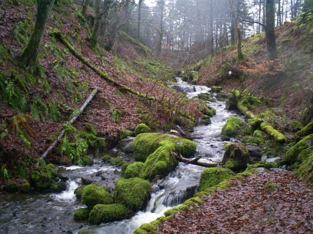 Photograph of Stream at High Force