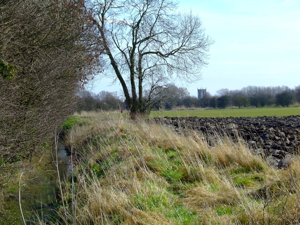 Eastrington church from the field