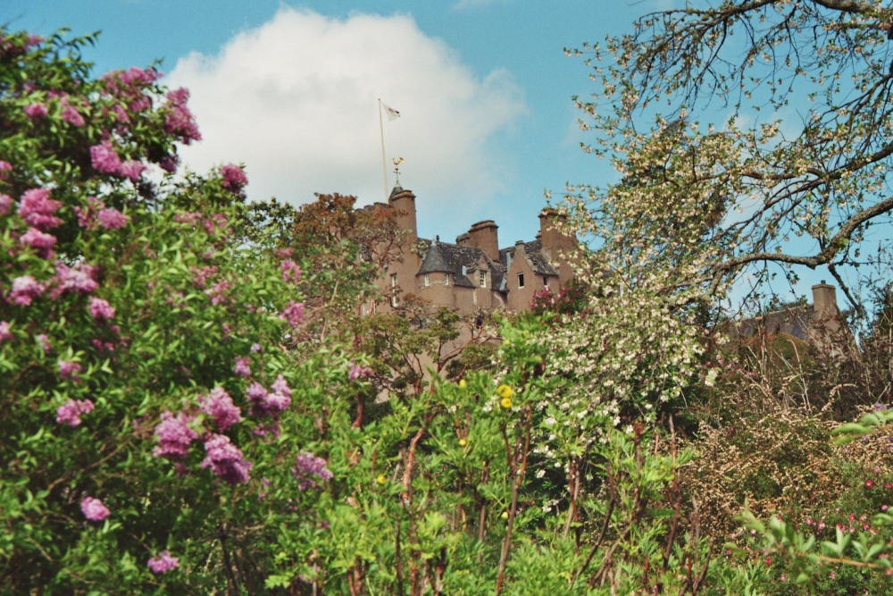 In search of Sleeping Beauty: Crathes Castle photo by Lara