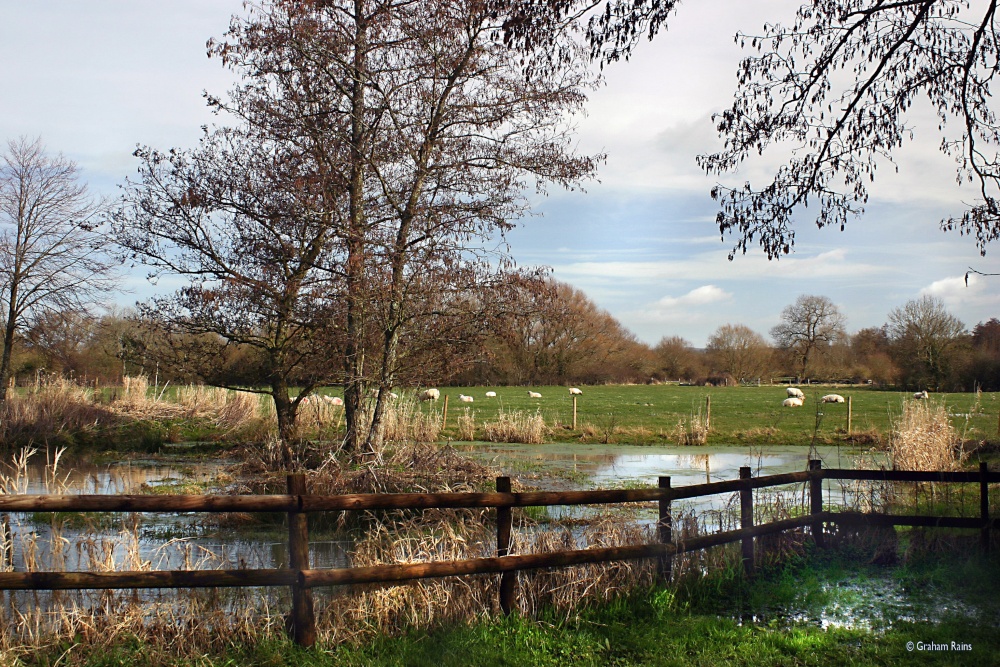 Shillingstone in Dorset