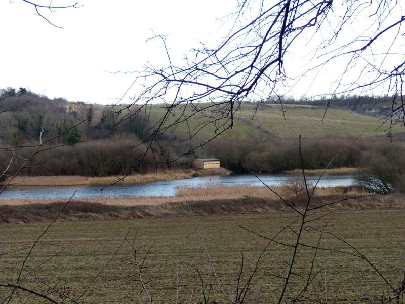 Kingfisher Hide across the Flash