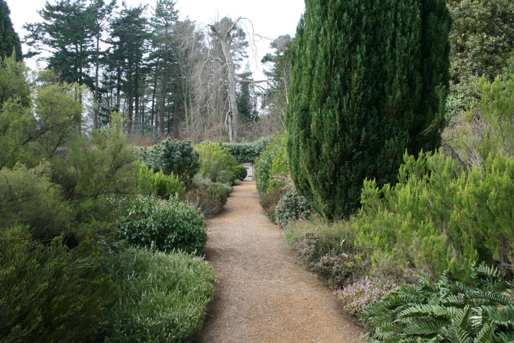 Belsay Hall gardens