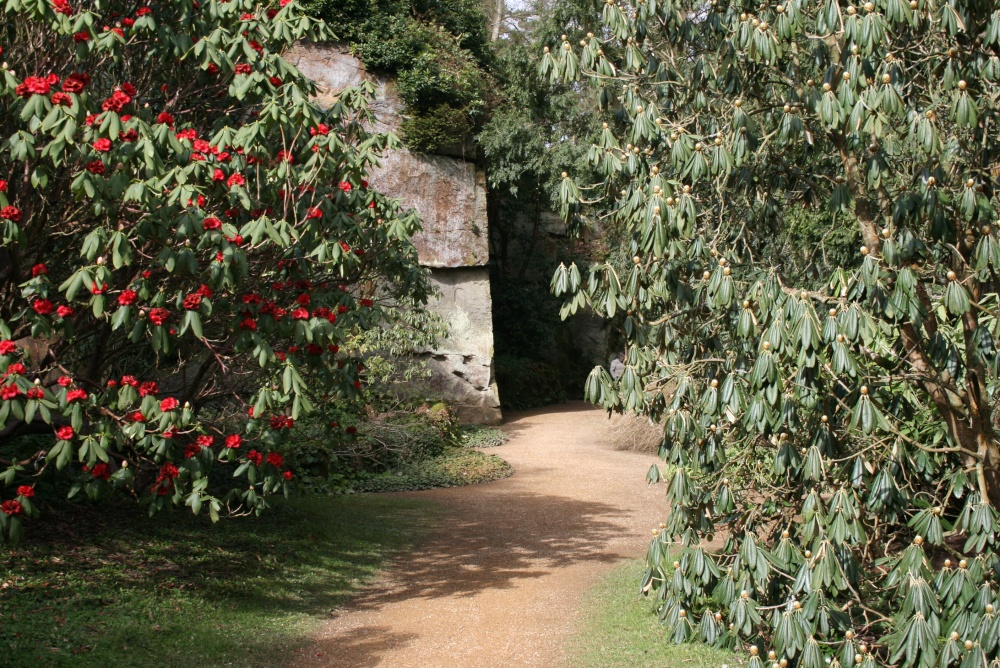 Belsay Hall gardens