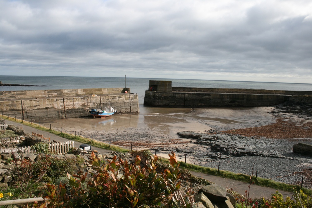 Craster Harbour