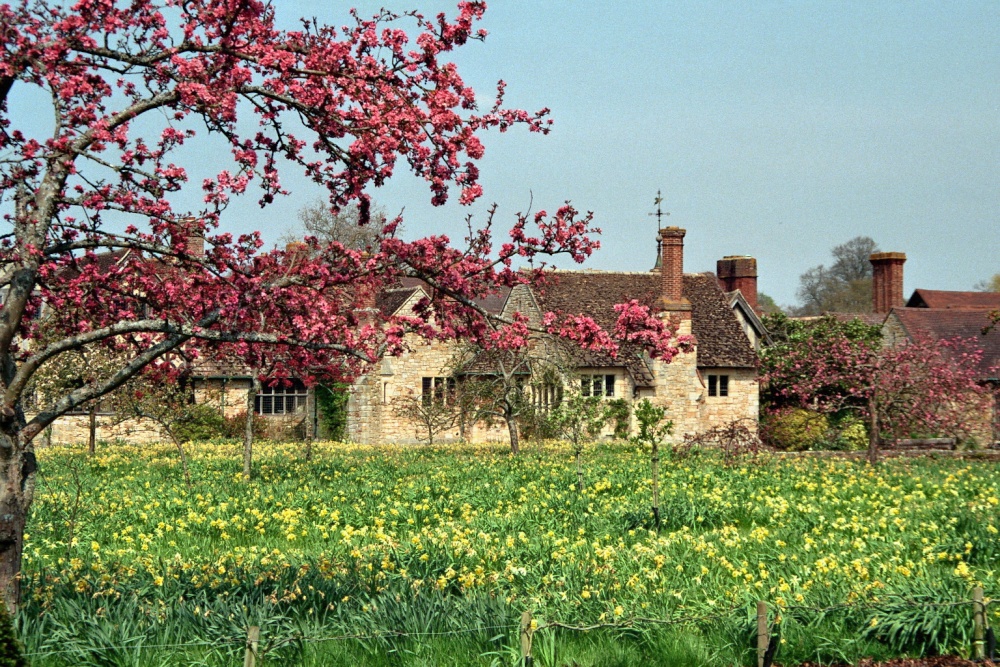 Photograph of Adjoining buildings of Hever Castle