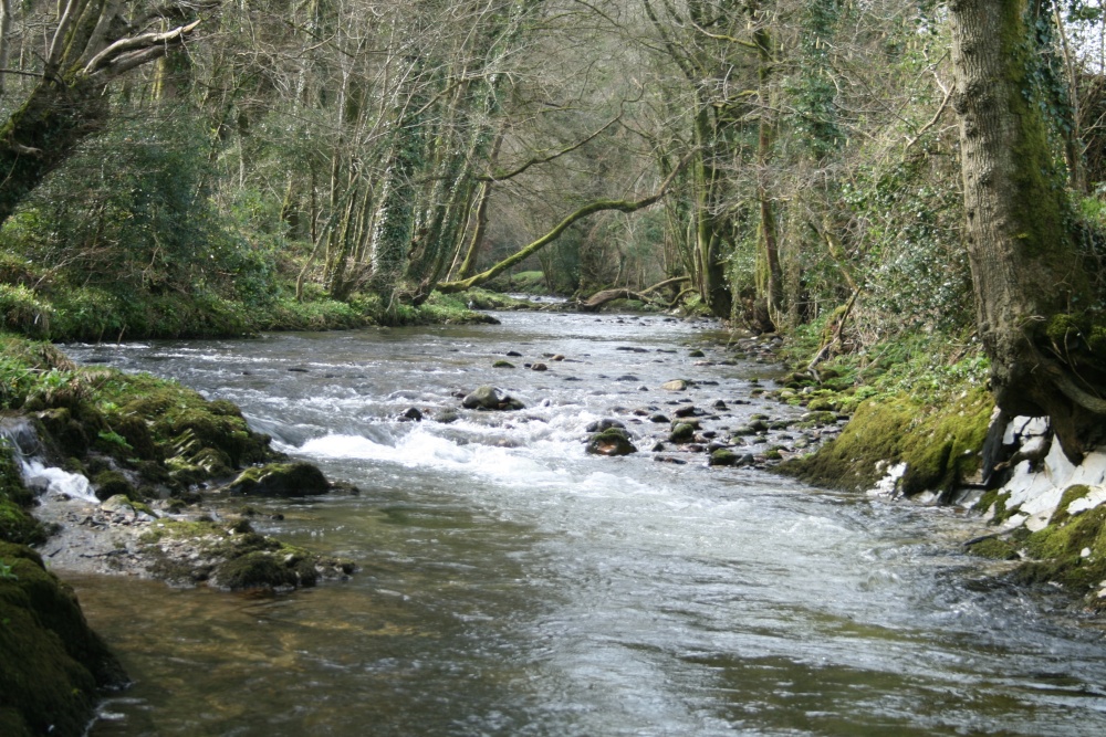 River Dart