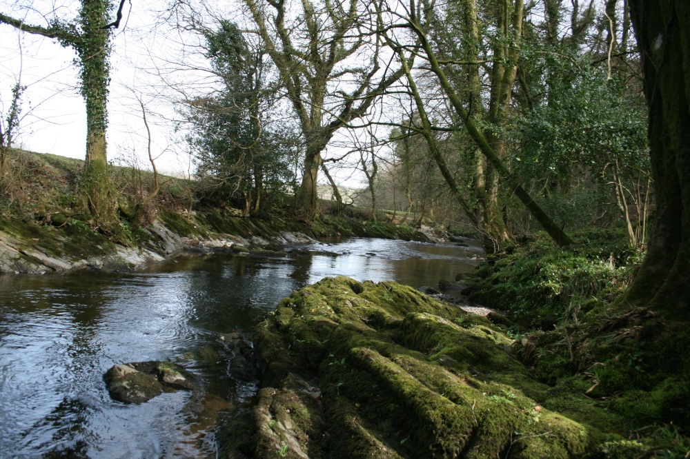 River Dart