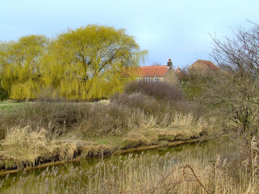 The Canal at Newport, Yorkshire