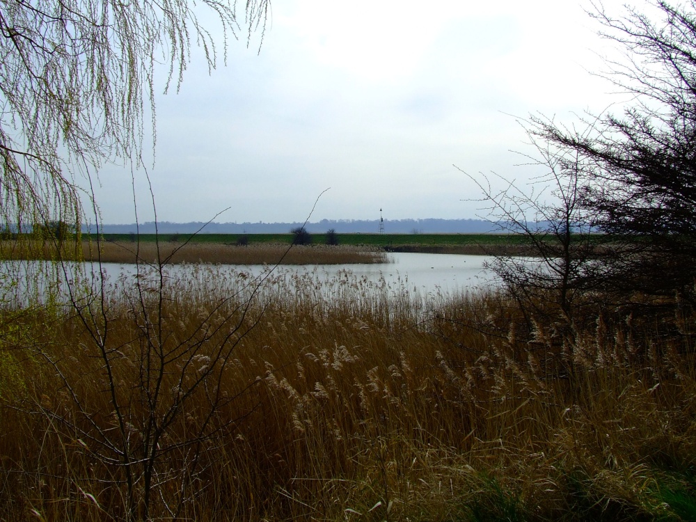 The large pond at Faxfleet