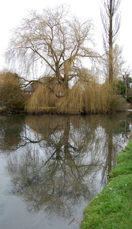 Wilton village pond