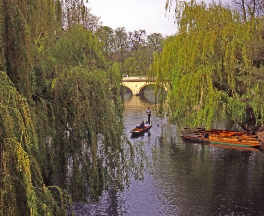 Photograph of The River Cam.