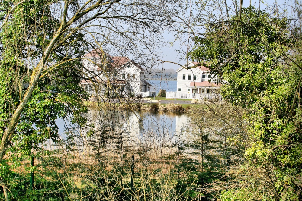 Photograph of Through the trees