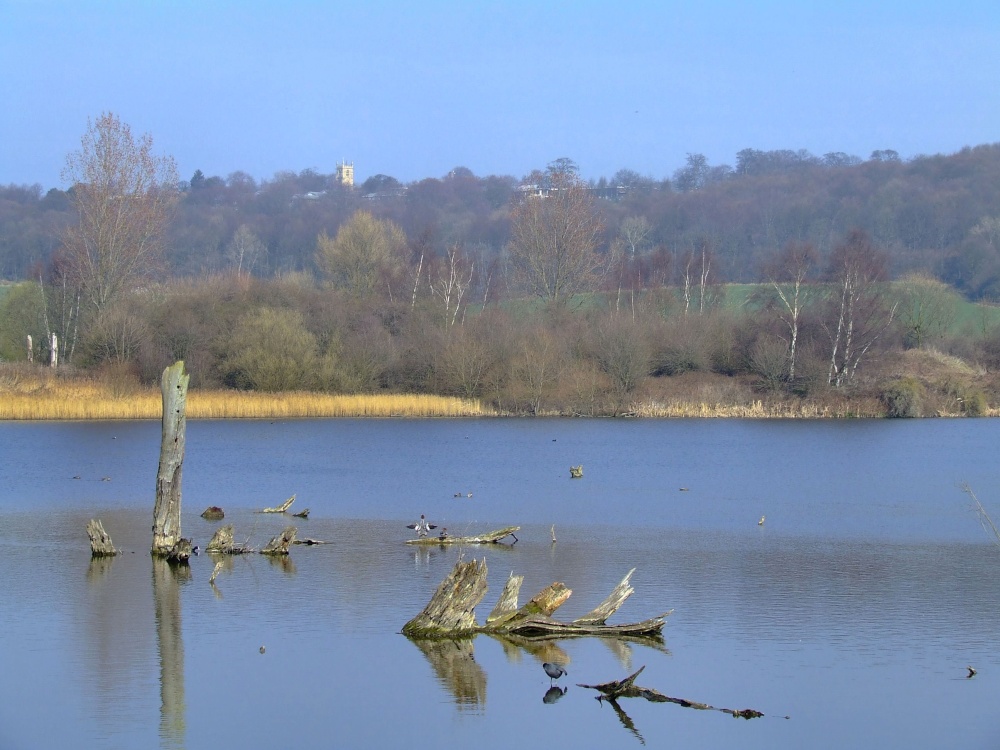 View across the lake at Denaby Ings