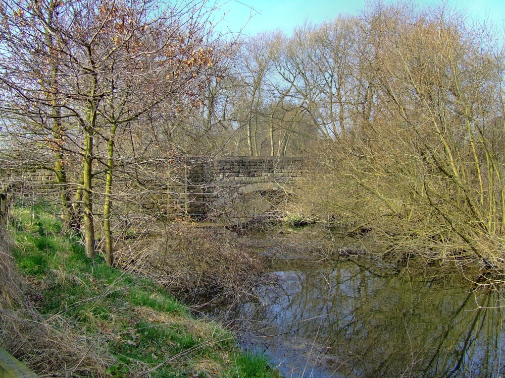 The little bridge at Denaby Ings