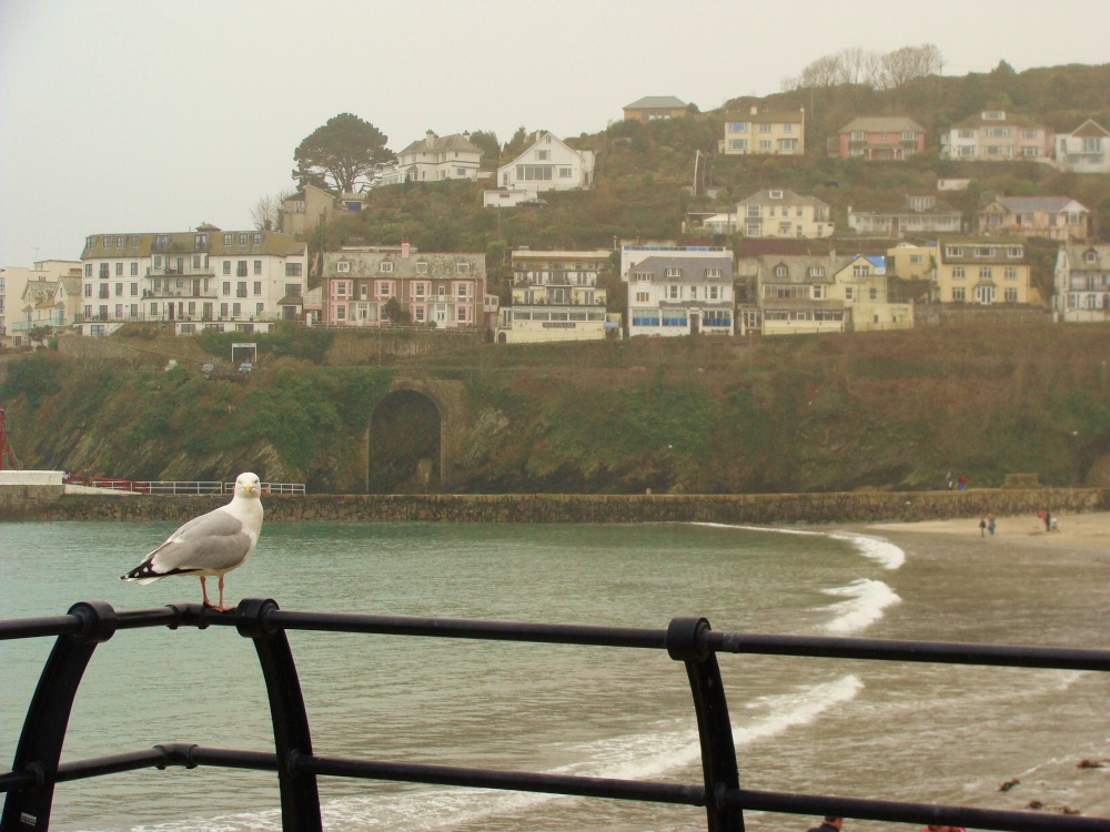Looe Harbour