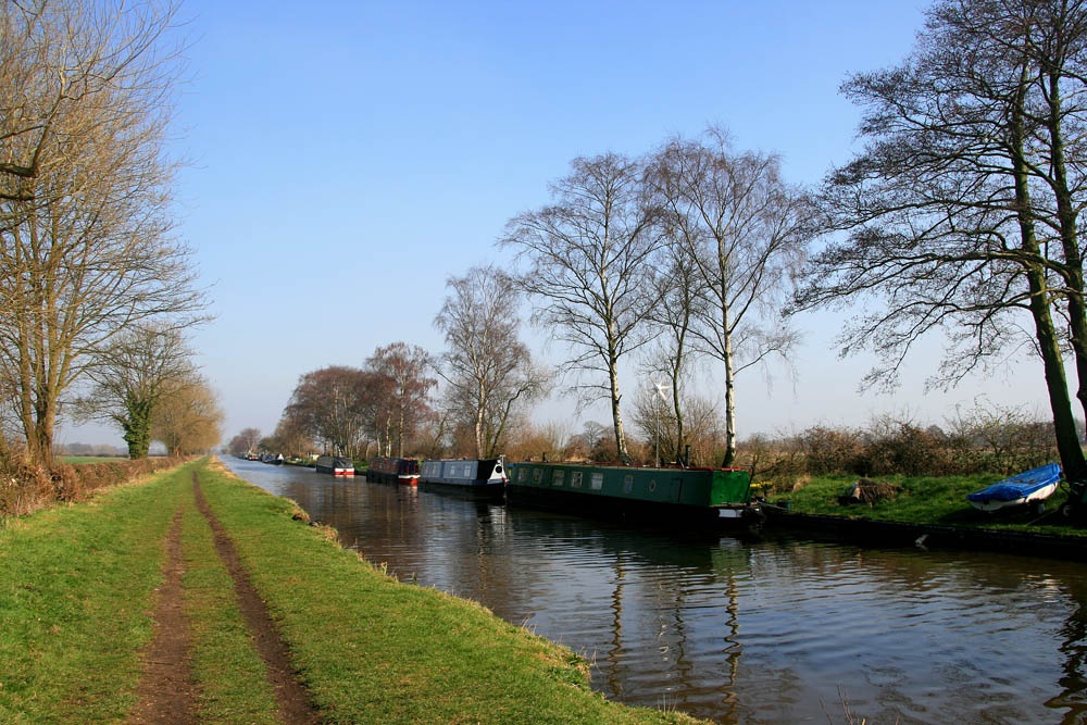 Spring sunshine near Fradley Junction