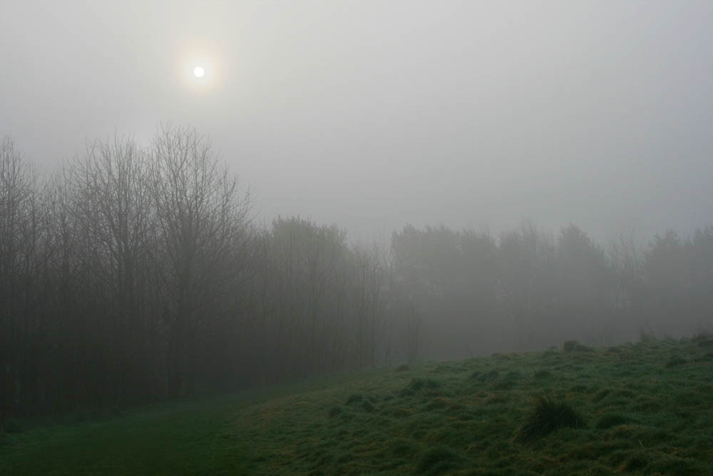 Foggy morning in Boley Park