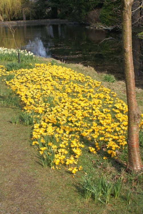 A picture of Thorp Perrow