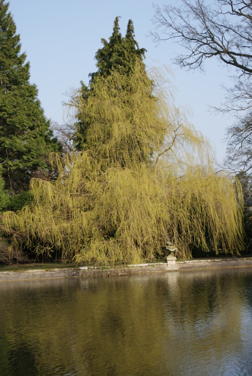 A picture of Thorp Perrow