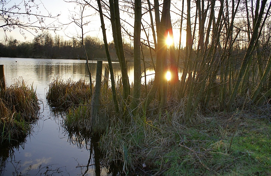Lakeside Country Park Eastleigh