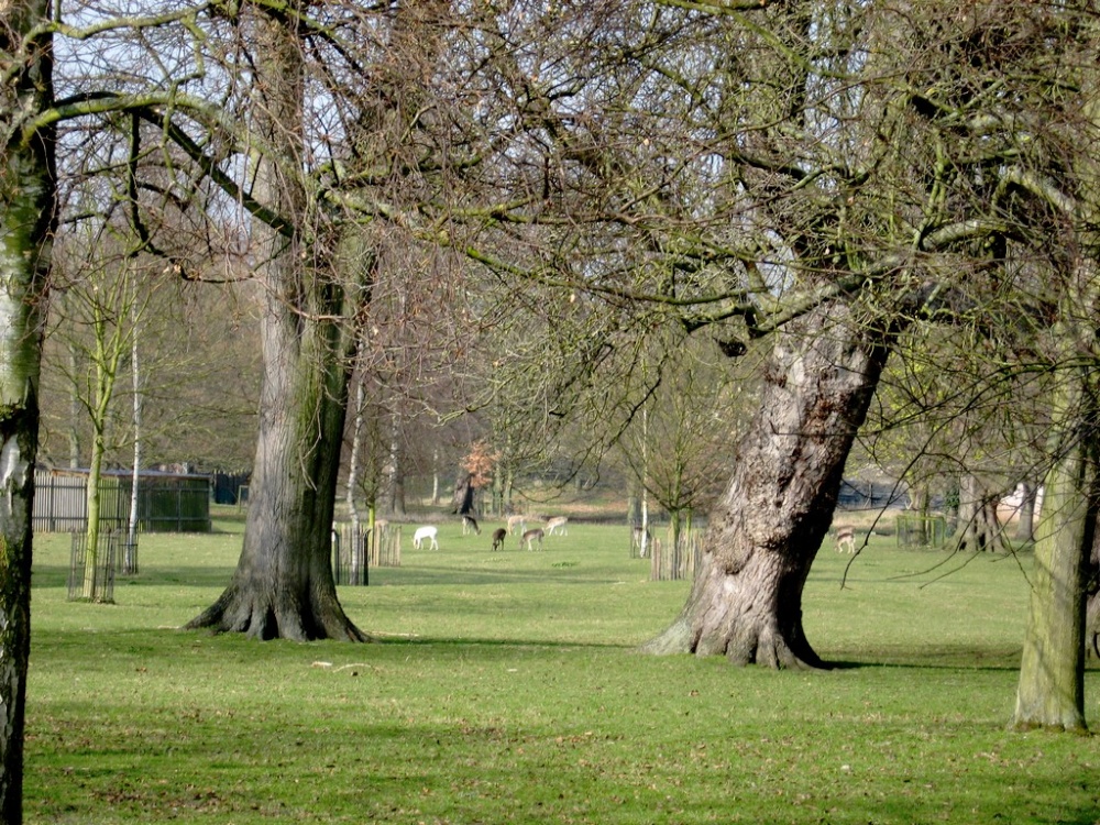 Magdalen College, Oxford 07