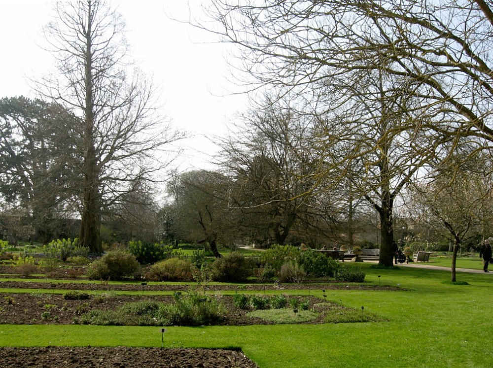 Oxford Botanical Gardens 54