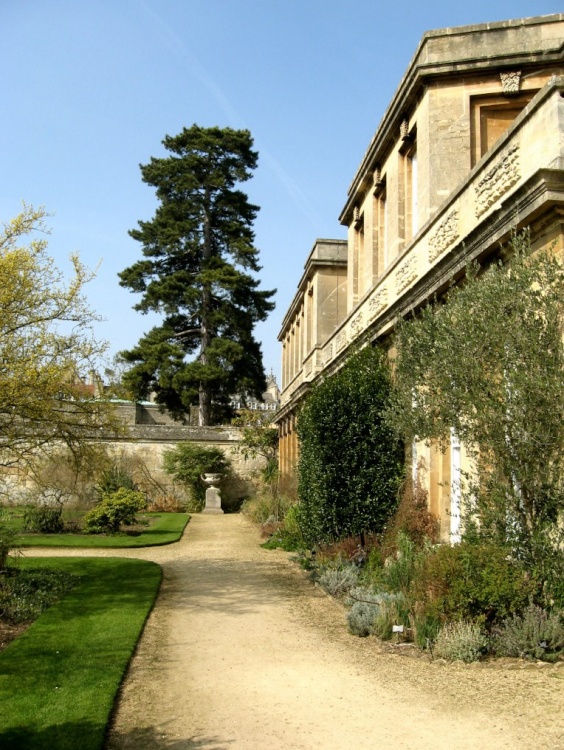 Oxford Botanical Gardens 56