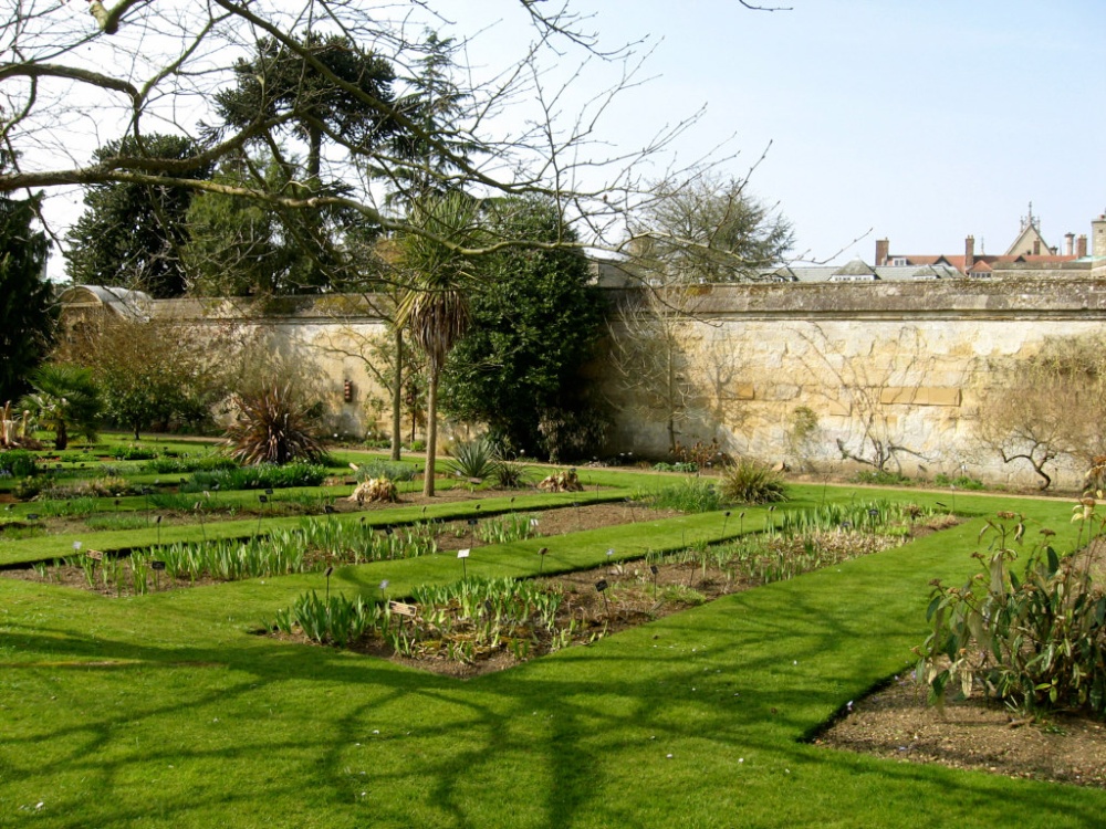 Oxford Botanical Gardens 59