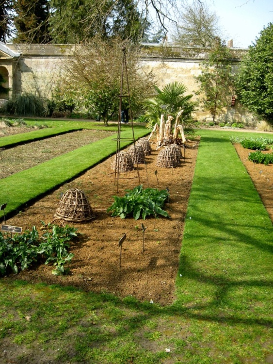 Oxford Botanical Gardens 60