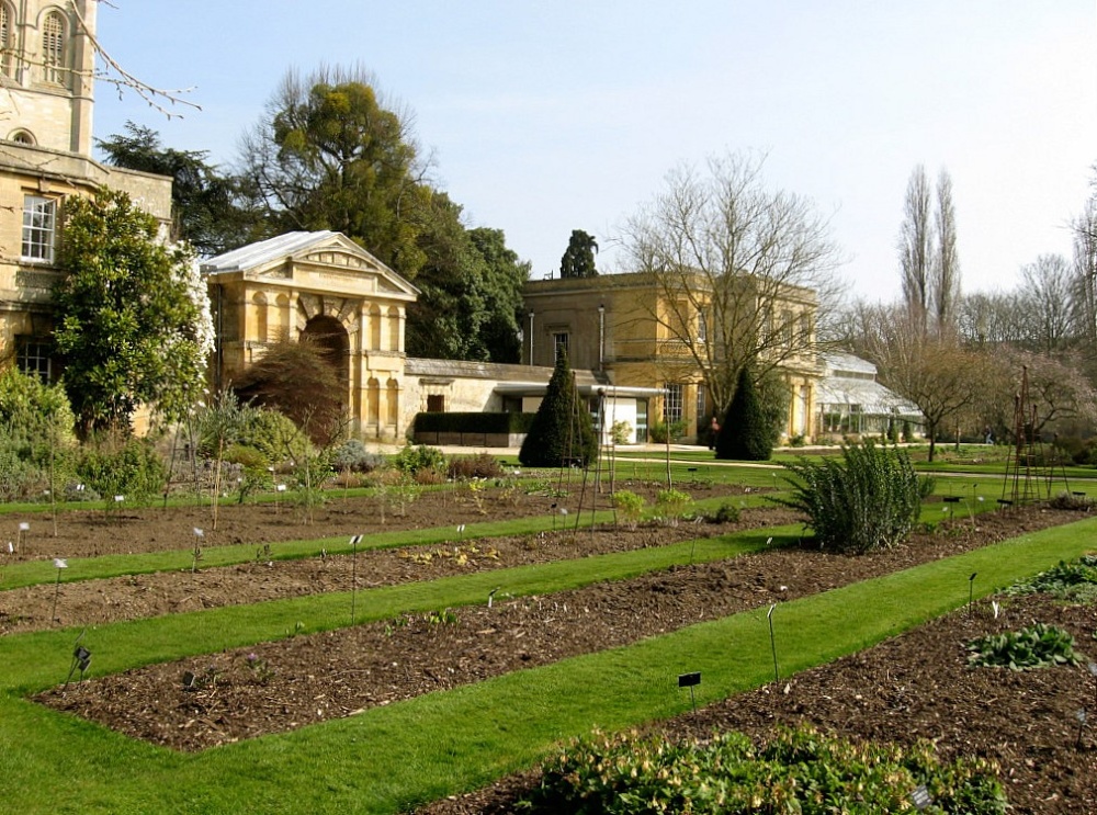 Oxford Botanical Gardens 61
