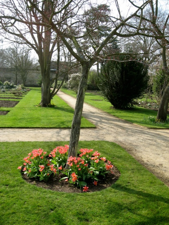 Oxford Botanical Gardens 62