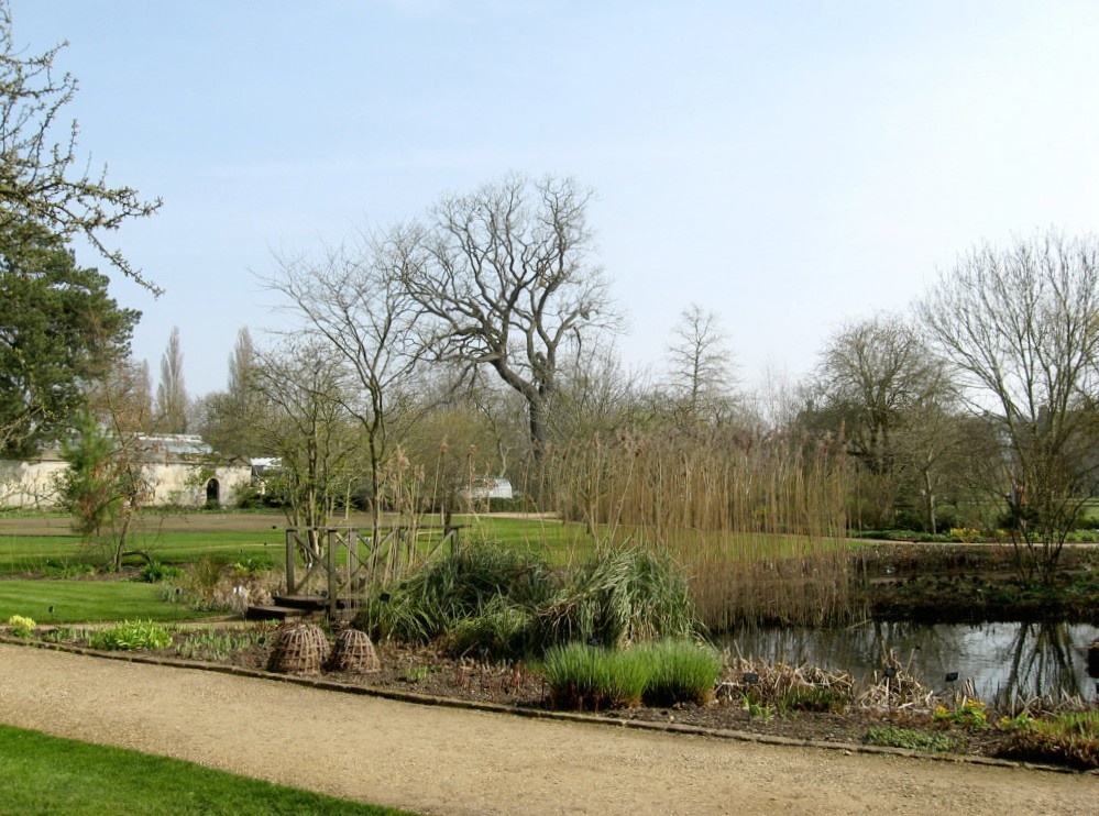 Oxford Botanical Gardens 73