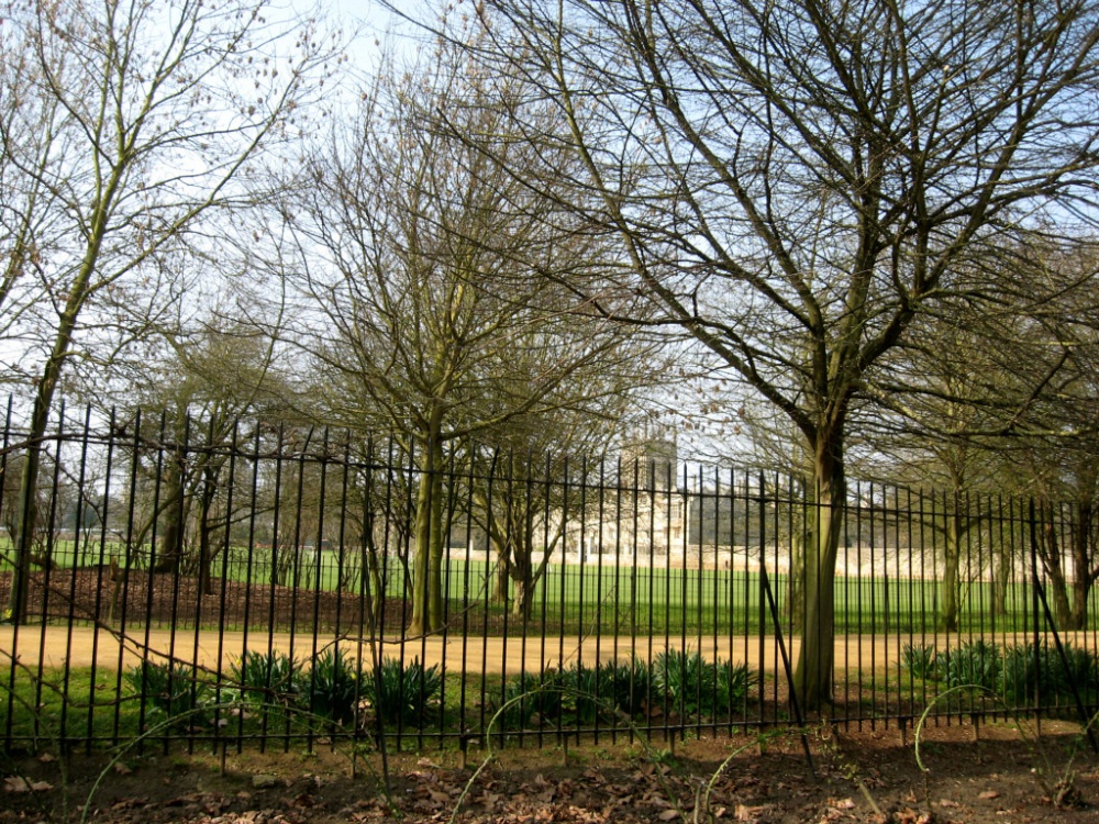 Oxford Botanical Gardens 74